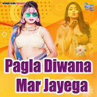 Thumbnail for the Suresh - Pagla Diwana Mar Jayega link, provided by host site