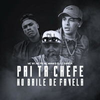 Thumbnail for the MC PR - Pai Tá Chefe No Baile de Favela link, provided by host site