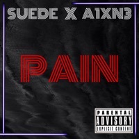 Thumbnail for the Suede - Pain link, provided by host site