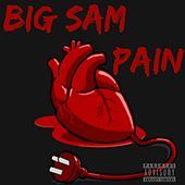 Thumbnail for the Big Sam - Pain link, provided by host site