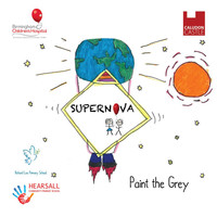 Thumbnail for the Supernova - Paint the Grey link, provided by host site