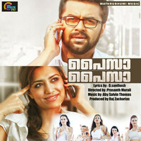 Thumbnail for the Rahul Raj - Paisa Paisa link, provided by host site