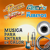 Thumbnail for the Los Greys - Pajarillo link, provided by host site