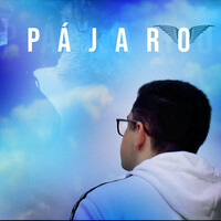 Thumbnail for the Nez - PÁJARO link, provided by host site