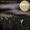 Thumbnail for the The Shadows - Pale Interpretators link, provided by host site