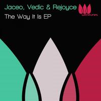 Thumbnail for the Jaceo - Palenquero - Original Mix link, provided by host site