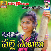 Thumbnail for the Suresh - Palle Patalu(Best Folk Songs) link, provided by host site