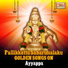 Thumbnail for the Veeramani Raju - Pallikkattu Sabarimalaku - Golden Songs on Ayyappa link, provided by host site