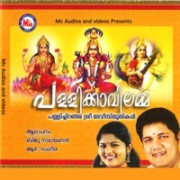 Thumbnail for the Ajith Kumar - Pallikkavil Devi link, provided by host site