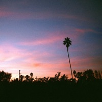 Thumbnail for the Gnash - Palm Trees link, provided by host site