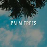 Thumbnail for the Yoga Tribe - Palm Trees link, provided by host site