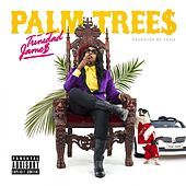 Thumbnail for the Trinidad James - Palm Trees link, provided by host site