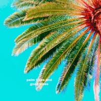 Thumbnail for the N.Ln - Palm Trees and Good Vibes link, provided by host site