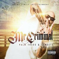 Thumbnail for the Mr. Criminal - Palm Trees and Sunsets link, provided by host site