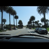 Thumbnail for the Dj Harrison - Palm Trees link, provided by host site