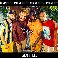 Thumbnail for the Rak-Su - Palm Trees link, provided by host site