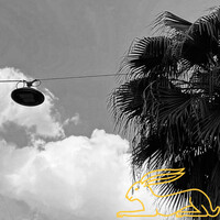 Thumbnail for the Overdrive - PALM TREES link, provided by host site