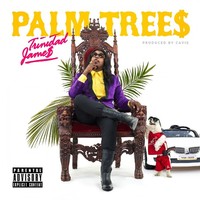 Thumbnail for the Trinidad James - Palm Trees link, provided by host site