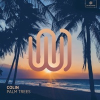 Thumbnail for the Colin - Palm Trees link, provided by host site