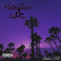 Thumbnail for the Banks - Palm Trees & Pink Skies link, provided by host site
