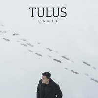 Thumbnail for the Tulus - Pamit link, provided by host site