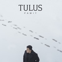 Image of Tulus linking to their artist page due to link from them being at the top of the main table on this page