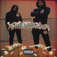 Thumbnail for the Los and Nutty - Panagnl4e, Vol. 2 link, provided by host site