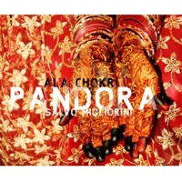 Thumbnail for the Ala Chokri - Pandora (Jaykill Remix) [Mixed] link, provided by host site