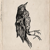 Image of Kråkesølv linking to their artist page due to link from them being at the top of the main table on this page