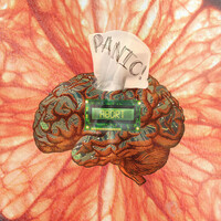 Thumbnail for the Raki - Panic! Abort link, provided by host site
