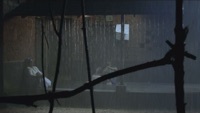 Thumbnail for the Madhusree Narayanan - Panimathi (From "Alif") link, provided by host site