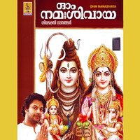 Thumbnail for the Nikhil - Panimathimukhi Parvathi link, provided by host site