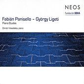 Thumbnail for the Dimitri Vassilakis - Panisello & Ligeti : Piano Etudes link, provided by host site