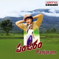 Thumbnail for the Raj - Panjaram (Original Motion Picture Soundtrack) link, provided by host site