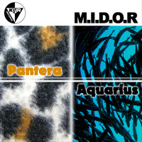 Thumbnail for the M.I.D.O.R. - Pantera - Aquarius link, provided by host site