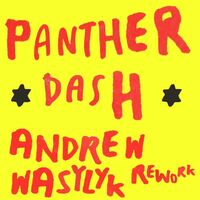 Thumbnail for the The Go! Team - Panther Dash (Andrew Wasylyk Rework) link, provided by host site