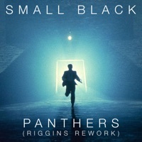 Thumbnail for the Small Black - Panthers (Riggins Rework) link, provided by host site