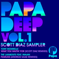 Thumbnail for the Tony Momrelle - PAPA DEEP, Vol. 1 Sampler (Scott Diaz Sampler) link, provided by host site