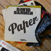 Thumbnail for the David Banner - Paper link, provided by host site