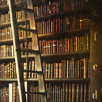 Thumbnail for the bookworm - Paper Bag link, provided by host site