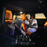 Thumbnail for the Uzi - PARA link, provided by host site