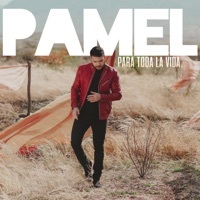 Thumbnail for the Pamel - Para Toda la Vida link, provided by host site