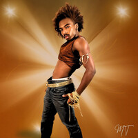 Thumbnail for the MARTIN - Paradigm link, provided by host site