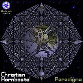 Thumbnail for the Christian Hornbostel - Paradigma link, provided by host site