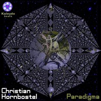 Thumbnail for the Christian Hornbostel - Paradigma link, provided by host site
