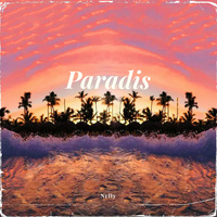 Thumbnail for the Nelly - Paradis link, provided by host site