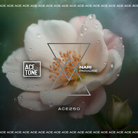 Thumbnail for the Nari - Paradise link, provided by host site