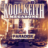 Thumbnail for the Kool Keith - Paradise link, provided by host site
