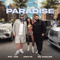Thumbnail for the Fat Joe - Paradise link, provided by host site