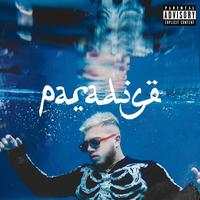 Thumbnail for the Hamza - Paradise link, provided by host site